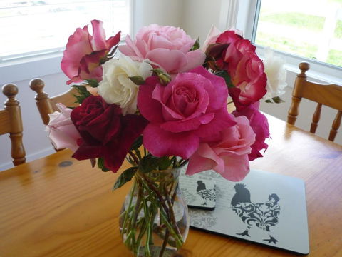 Little Sunnyside Accommodation - Darwin Holiday 2