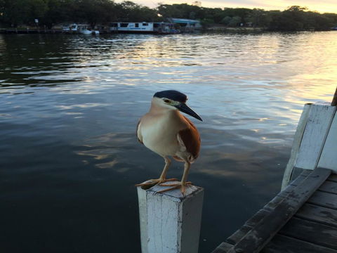 Mandurah Riverfront Holiday Rental - Darwin Holiday 1