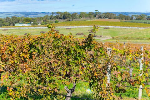 Sun & Surf Aldinga Beach Apartment - Darwin Holiday 6