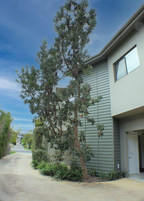 Rolling Waves 1 - Darwin Holiday 0