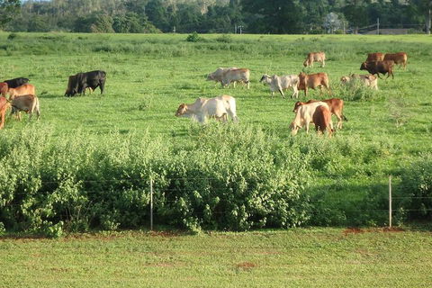 Nautilus Apartments - Darwin Holiday 5