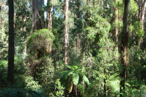 SIGNAL BOX Short Stay - Darwin Holiday 3