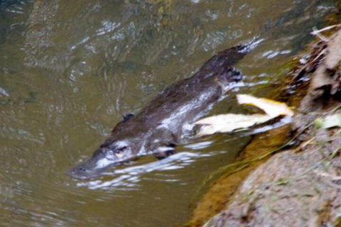 Chilverton Cottages & Restaurant - Darwin Holiday 5