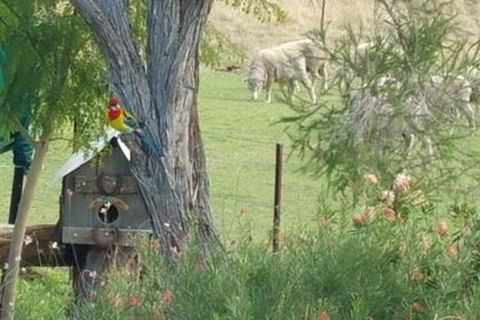 Birdhouse Cottage B & B - Darwin Holiday 5