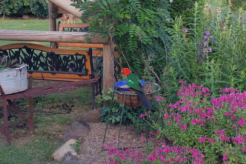 Birdhouse Cottage B & B - Darwin Holiday 3