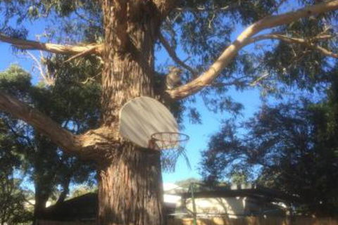 Inverloch Motel - Darwin Holiday 5