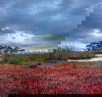 Saintys Creek Cottage - Darwin Holiday