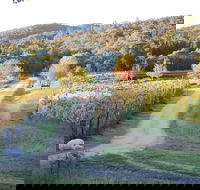 Twisted Gum Cottage - Darwin Holiday