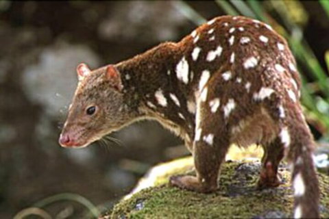 Blue Lake Lodge - Darwin Holiday 2