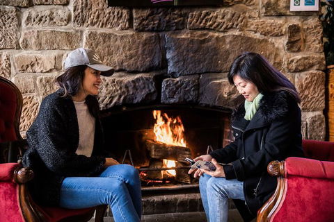 The Pickled Frog - Darwin Holiday 2