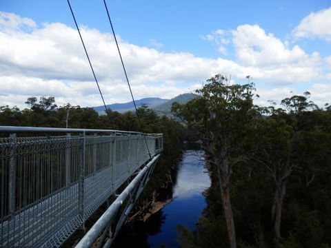 Tahune Air Walk Lodge - Darwin Holiday 5