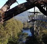 Tahune Air Walk Lodge - Darwin Holiday