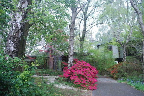 Rocky Creek Art Garden B&B - Darwin Holiday 5