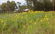 Fergies Hill Spa Cottage At Granite Ridge Wines - thumb 4