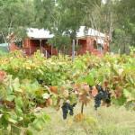 Fergies Hill Spa Cottage At Granite Ridge Wines - Darwin Holiday 0