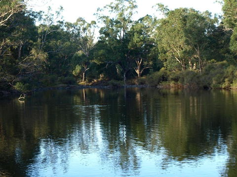 Rickaty On Blackwood - Darwin Holiday 5