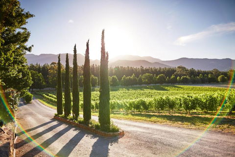 Feathertop Winery - Darwin Holiday 5