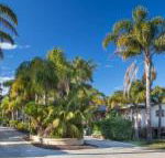Mollymook Caravan Park - Darwin Holiday