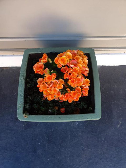 Parkside Motel Morwell - Darwin Holiday 6