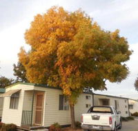 Wodonga Caravan  Cabin Park - Darwin Holiday