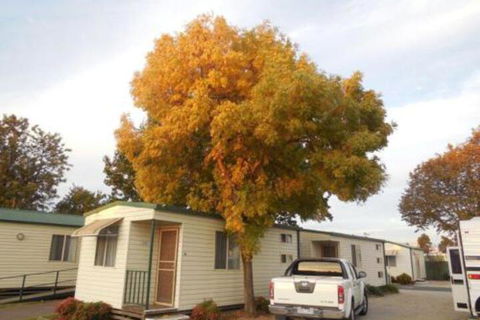 Wodonga Caravan & Cabin Park - Darwin Holiday 0
