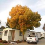 Wodonga Caravan & Cabin Park - Darwin Holiday 1