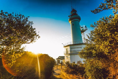 Abaleen House - Darwin Holiday 5
