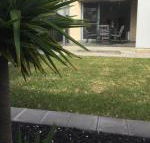Ella House Adelaide - Darwin Holiday