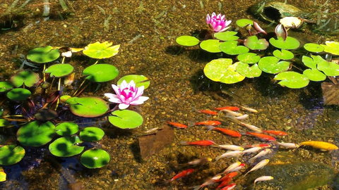 Winston Cottage At Three Sisters - Darwin Holiday 6
