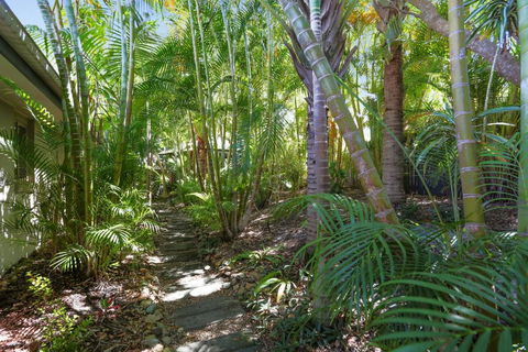 Palm Trees Noosa - Darwin Holiday 6