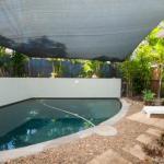 Palm Trees Noosa - Darwin Holiday 1