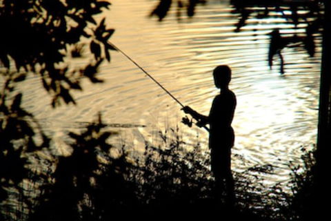 Wooli River Lodges - Darwin Holiday 0