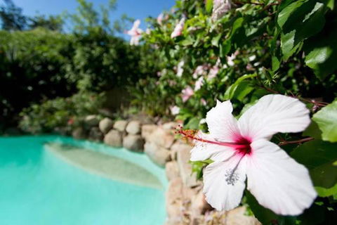 Luxury Executive Apartment - Darwin Holiday 2