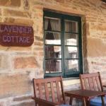 Lavender Cottage B & B - Darwin Holiday 0