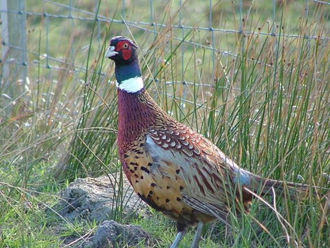 Baudins Accommodation - Darwin Holiday 6