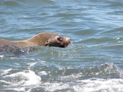 Baudins Accommodation - Darwin Holiday 5