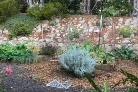 Alpine Aspects - Darwin Holiday 6