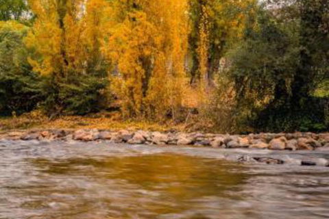 Alpine Aspects - Darwin Holiday 5