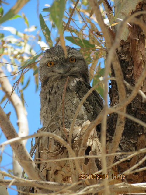 Kalbarri Tudor Holiday Park - Darwin Holiday 3