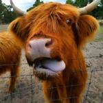 Wadderin WA Darwin Holiday