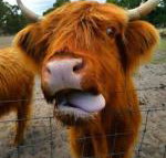 Nutcrackers Lodge - Darwin Holiday