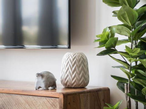 LittleStay Collection Flemington - Darwin Holiday 1