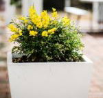 Esperance Coastal Retreat - Darwin Holiday