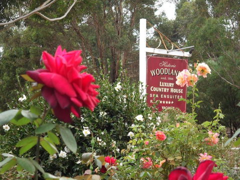 Woodlands Of Bridgetown B & B - Darwin Holiday 5