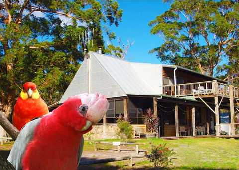 Wolfes Landing Eco Retreat - Darwin Holiday 2
