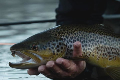 Currawong Lakes Tasmania - Darwin Holiday 3