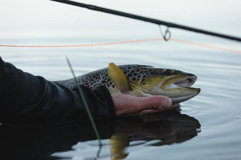 Currawong Lakes Tasmania - Darwin Holiday 7