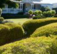 Whiskey Gully Wines - Darwin Holiday