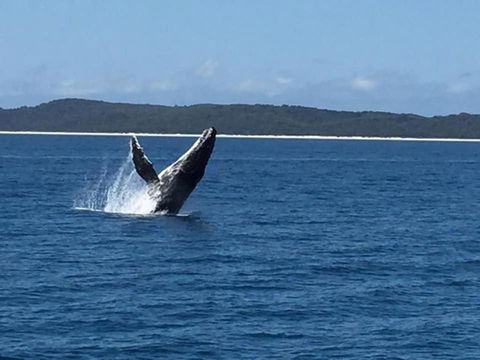 Sandy Footprints - Darwin Holiday 3