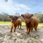 Nangana VIC Darwin Holiday